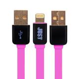 Just Rainbow Lighting USB Cable Pink (LGTNG-RNBW-PNK) -  1