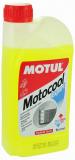 Motul Motocool expert 1 -  1