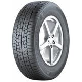 Gislaved Euro Frost 6 (205/55R16 91H) -  1