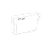 Epson C13T891100 -  1
