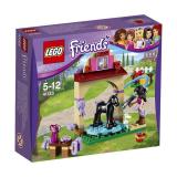 LEGO Friends    (41123) -  1