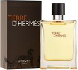 Hermes Terre D` EDT 100 ml -  1