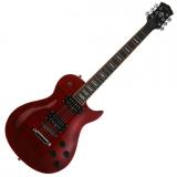 Washburn WINPROFTR -  1