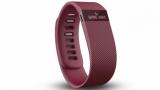 Fitbit Charge (Large/Burgundy) -  1