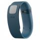 Fitbit Charge (Large/Slate) -   2