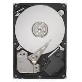 Seagate ST3250318AS -  1
