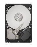 Seagate ST3500418AS -  1