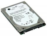 Seagate ST910021AS -  1