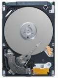 Seagate ST9160310AS -  1