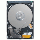 Seagate ST9160827AS -  1