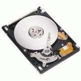 Seagate ST980811AS -  1