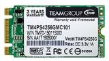 Team Group TM4PS4 256GB -  1
