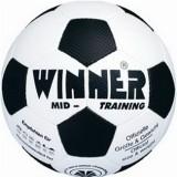 Winner Mid Training -  1