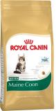 Royal Canin Maine Coon Kitten 4  -  1