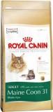 Royal Canin Maine Coon 31 Adult 0,4  -  1