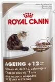 Royal Canin Ageing +12 0,4  -  1