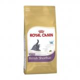 Royal Canin British Shorthair Kitten 2  -  1