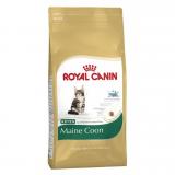 Royal Canin Maine Coon Kitten 2  -  1