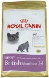 Royal Canin British Shorthair 34 Adult 2  -  1