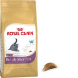 Royal Canin British Shorthair Kitten 0,4  -  1