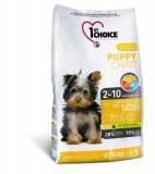 1st Choice Puppies Toy & Small Breeds 6  -  1