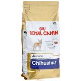 Royal Canin Chihuahua Junior 0,5  -  1