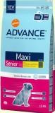 Advance Maxi Senior    15  -  1