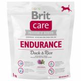 Brit Care Endurance 1  -  1
