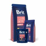 Brit Premium Junior L 3  -  1