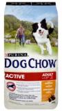 Dog Chow Active    14  -  1