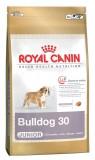 Royal Canin Bulldog Junior 3  -  1