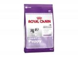 Royal Canin Giant Puppy 4  -  1