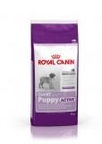 Royal Canin Giant Puppy Active 15  -  1