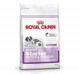 Royal Canin Giant Starter 4  -  1
