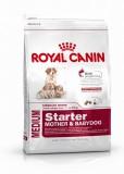 Royal Canin Medium Starter 12  -  1
