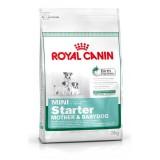 Royal Canin Mini Starter 3  -  1