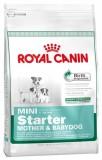 Royal Canin Mini Starter 8,5  -  1