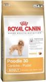 Royal Canin Poodle Adult 1,5  -  1