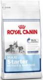 Royal Canin Maxi Starter 4  -  1
