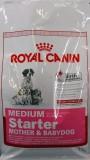 Royal Canin Medium Starter 1  -  1