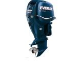 Evinrude E 225 DCX -  1