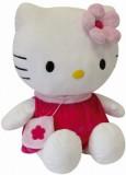 Hello Kitty 63 (021911) -  1
