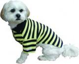 Doggyduds RUGBY STRIPED   -  1