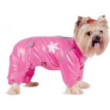 Pet Fashion   XS -  1