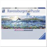 Ravensburger     2000  (RSV-166961) -  1