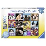 Ravensburger  300  (RSV-131976) -  1