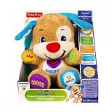 Fisher-Price     Smart Stages (.) (CJV61) -  1