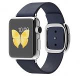Apple 38mm Stainless Steel Case with Midnight Blue Modern Buckle (MJ332) -  1