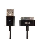 Just Simple 30 pin USB Cable Black (30P-SMP10-BLCK) -  1