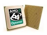 AMD Opteron Dual Core Egypt -  1